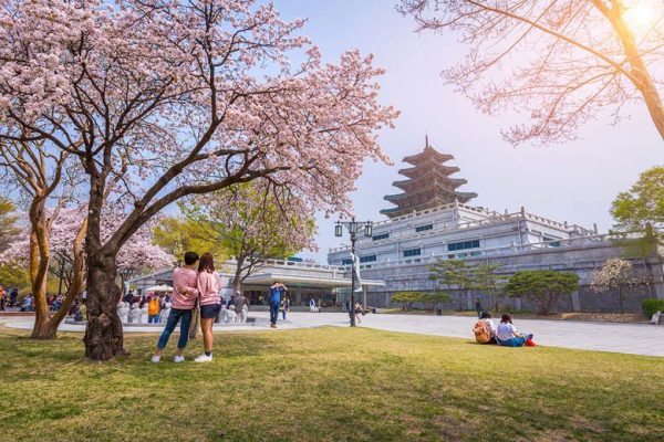 Hàn Quốc là nơi nhiều người lựa chọn khi du học