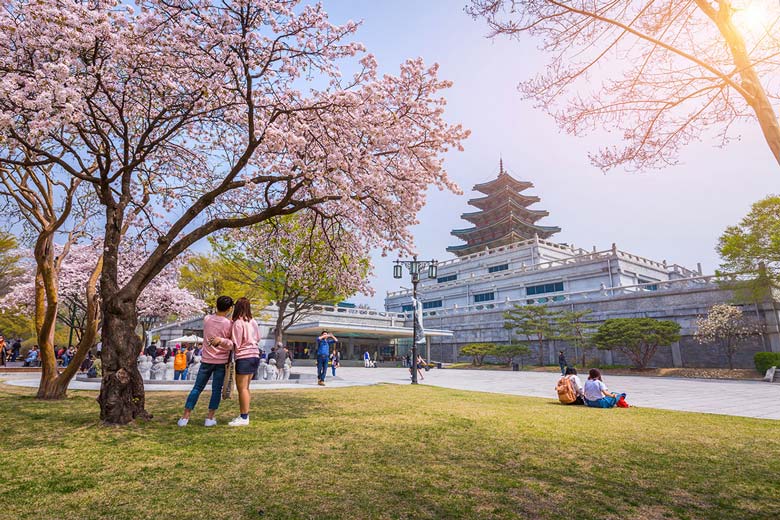 Hàn Quốc là nơi nhiều người lựa chọn khi du học