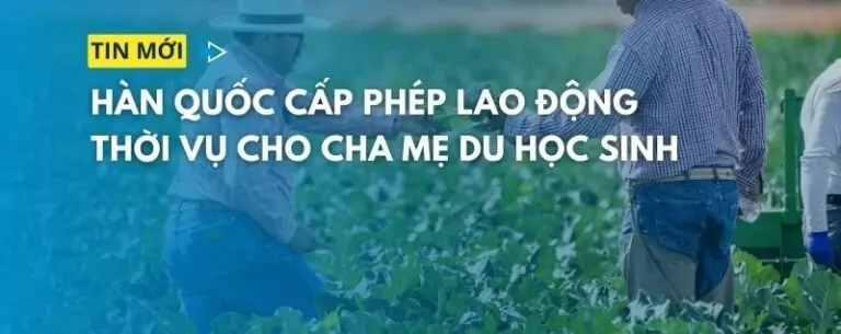 Du học sinh Hàn Quốc bảo lãnh ba mẹ qua làm nông: Mở cánh cửa cơ hội mới